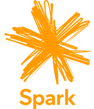 Spark NZT